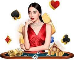 w40 Bingo